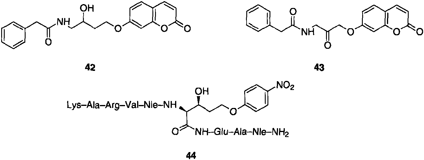 1.4.2 酰胺酶和蛋白酶